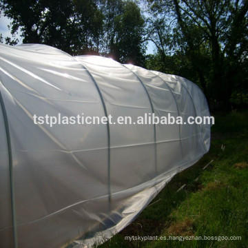 Película de invernadero para cubierta agrícola / 200 película de plástico de invernadero micro agrícola con protección UV